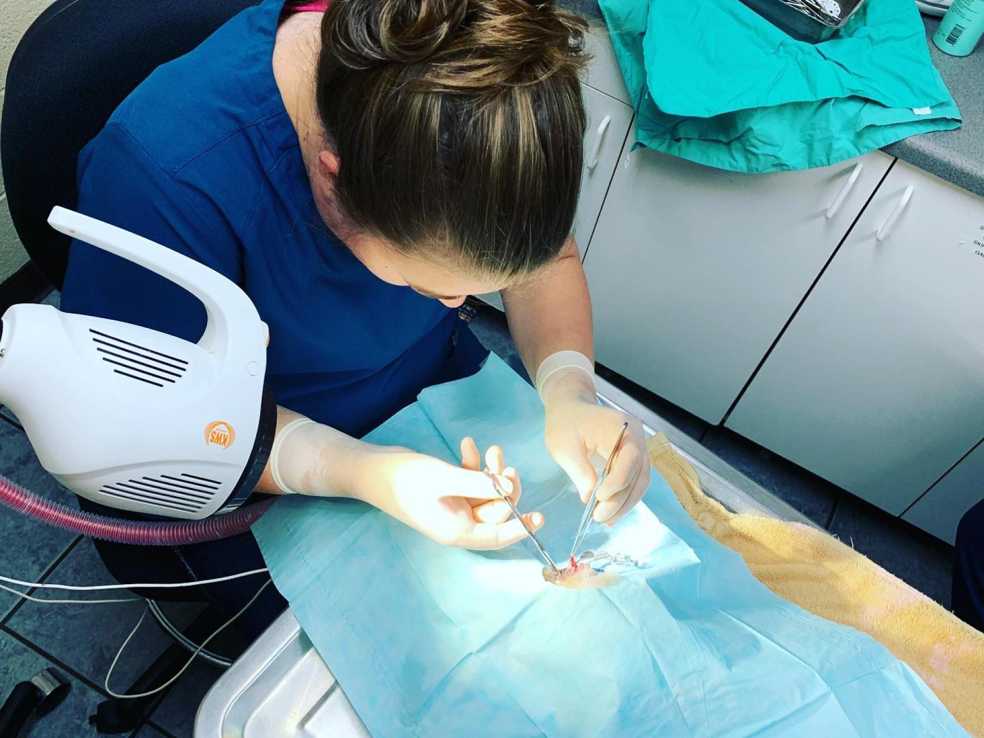 Surgery