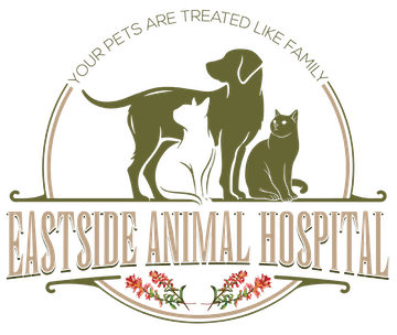 Eastside Animal Hospital